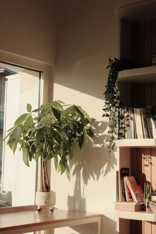 Cómo crear un rincón de lectura acogedor en casa